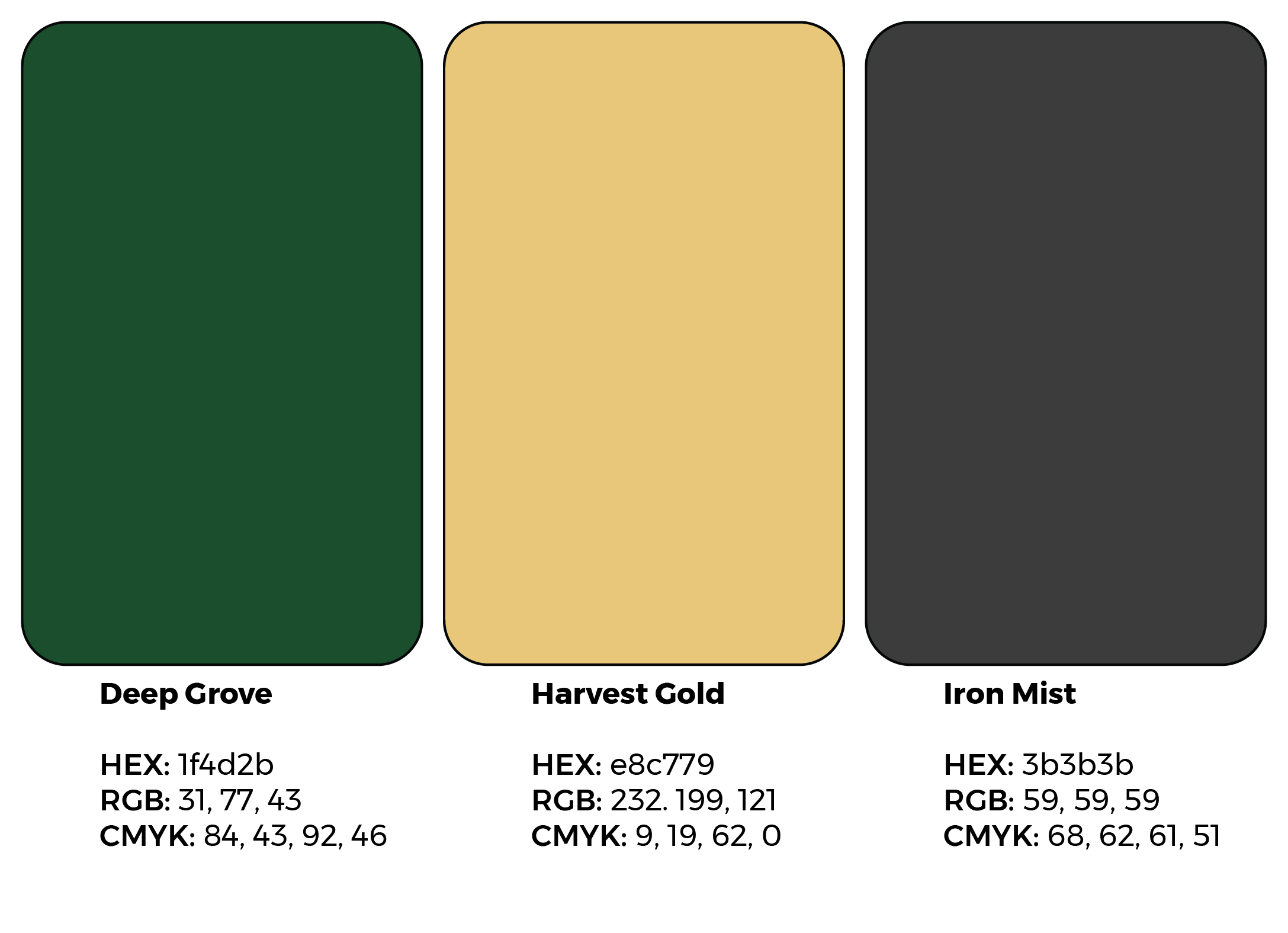Color Palette