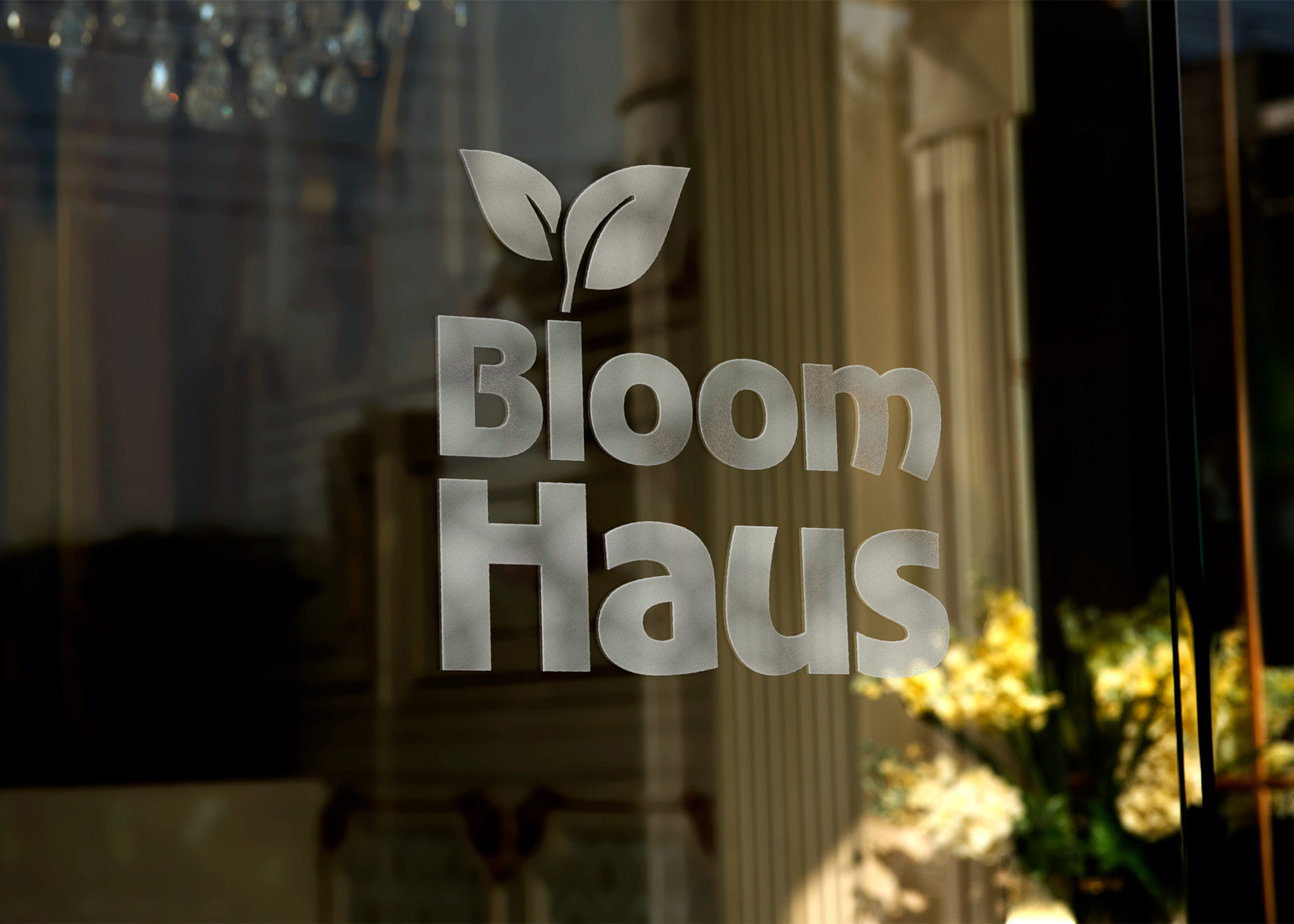 Store Window